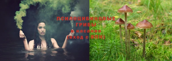 MESCALINE Каменка