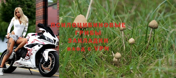 MESCALINE Каменка
