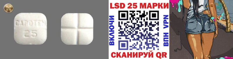 ЛСД экстази ecstasy  Купить закладки  Власиха 