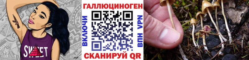 Купить  Власиха  Псилоцибиновые грибы MAGIC MUSHROOMS 
